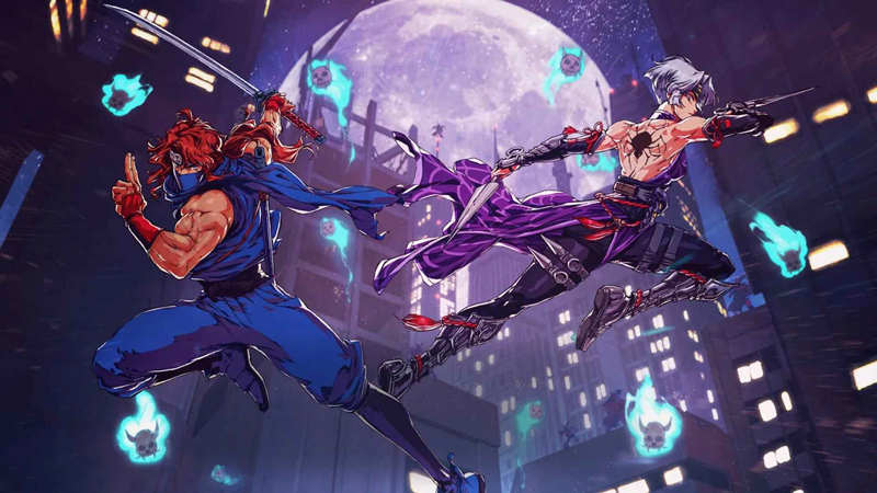 La bannière du jeu Ninja Gaiden avec ses deux héros.